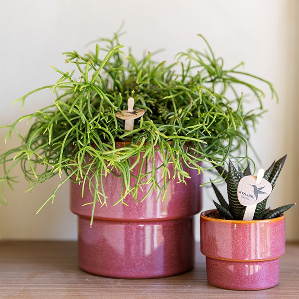 Kolibri Home | Timeless sierpot - Roze - Ø12 cm