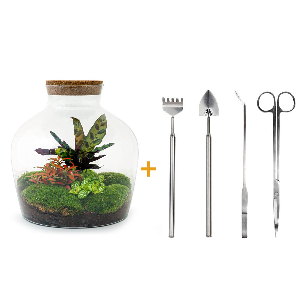 DIY Planten terrarium met licht - Fat Joe Red - Ø 29 cm ↑ 30 cm - Rake + Shovel + Tweezer + Scissors