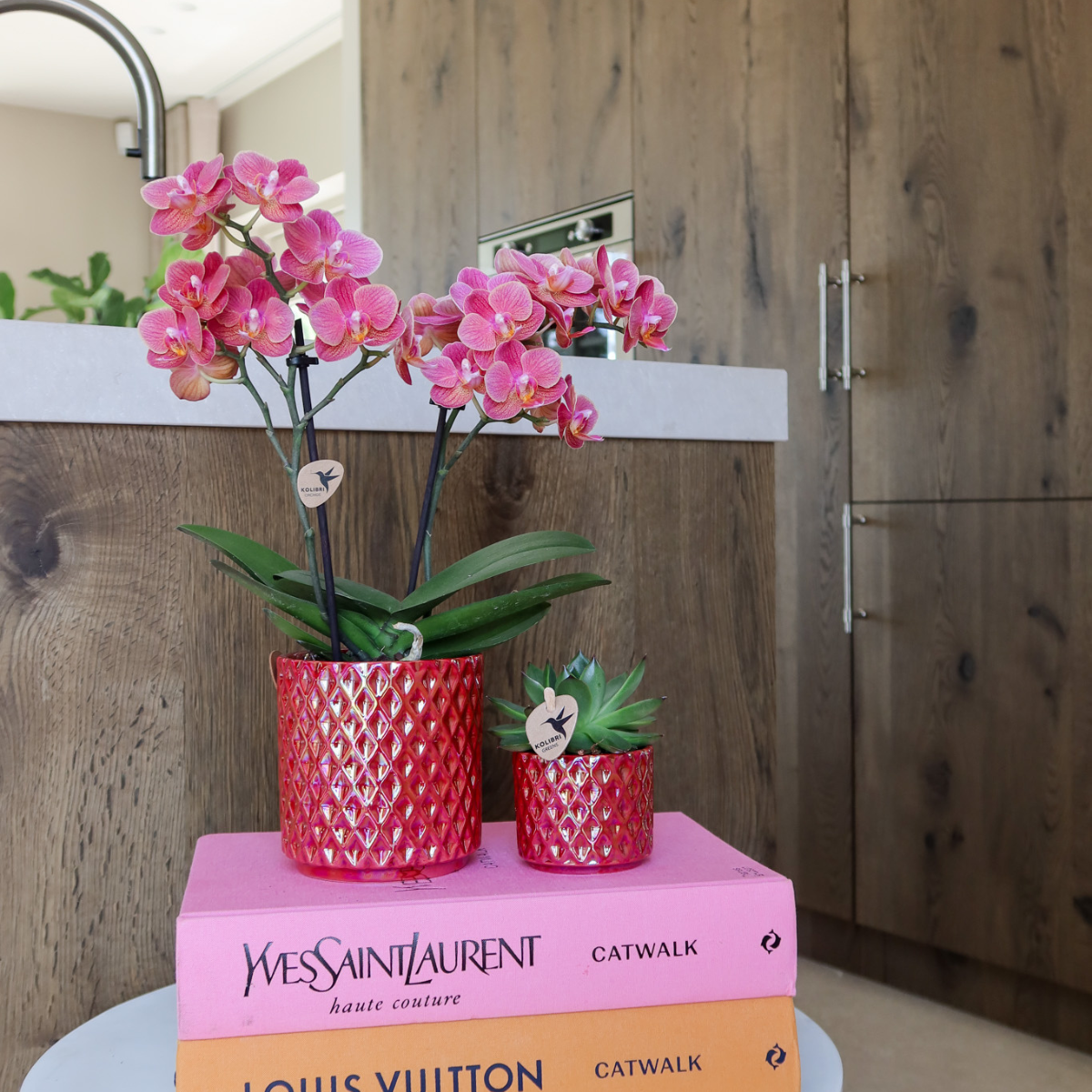 Orchidée Kolibri | Orchidée phalaenopsis rouge Congo + Pot Diamond Pearl rouge - diamètre du pot : 9 cm | Plante d'intérieur fleurie - Directement du producteur