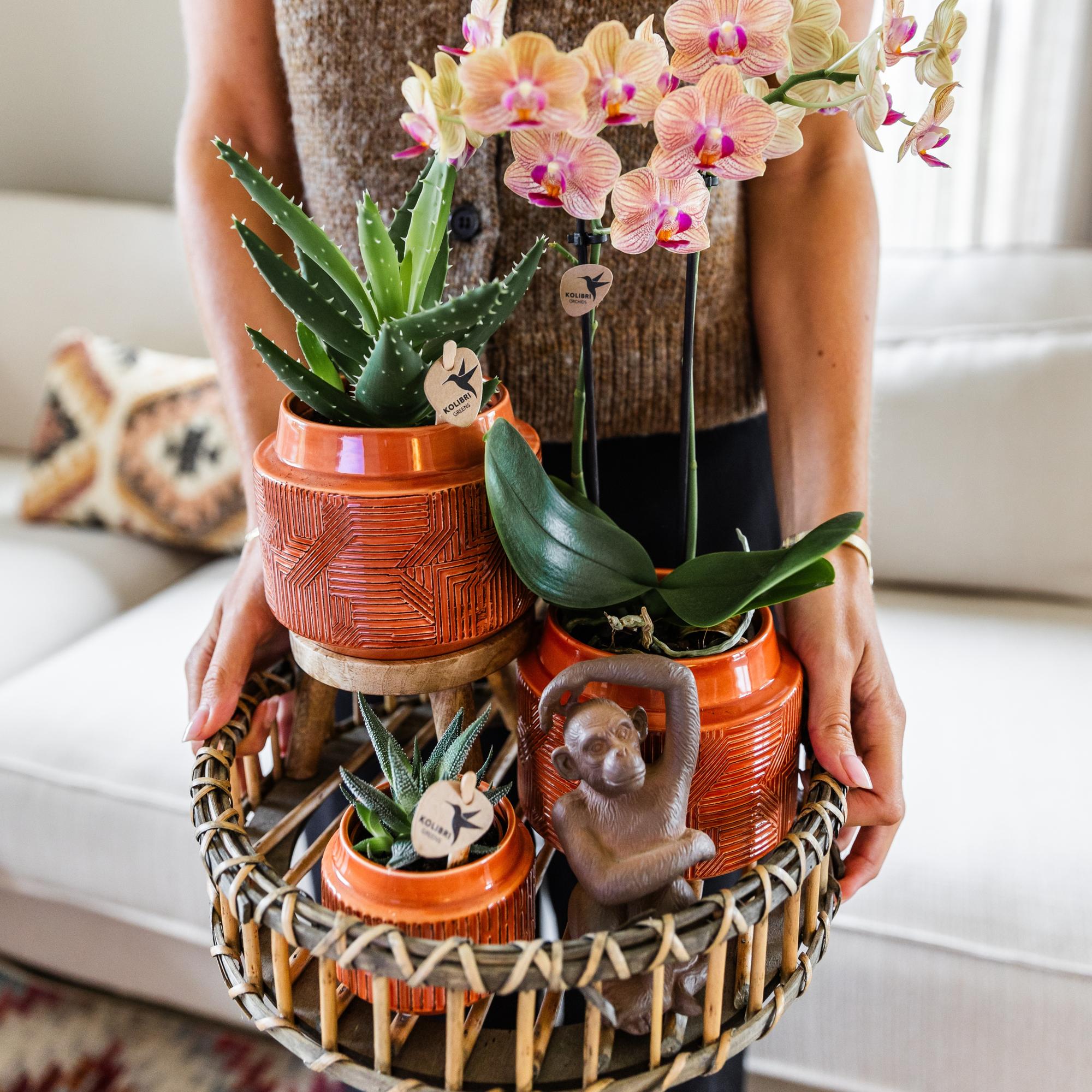 Kolibri Home | Plantenstandaard - Houten planten verhoging Ø12cm