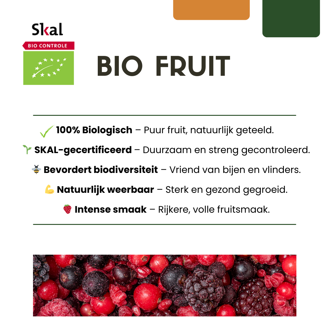 3 plants de framboisiers bio - Ø 13 cm - ↨ 20 cm