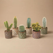 Cactus Set van 6 in Keramische Mini Potjes Madrid -  ↑ 8–12 cm