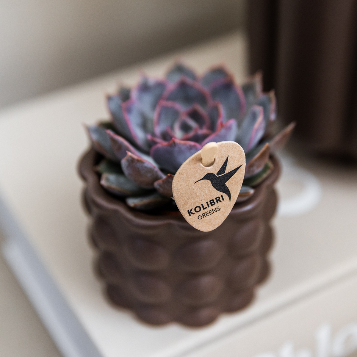 Kolibri Home | Cotton sierpot - Brown - Ø6cm