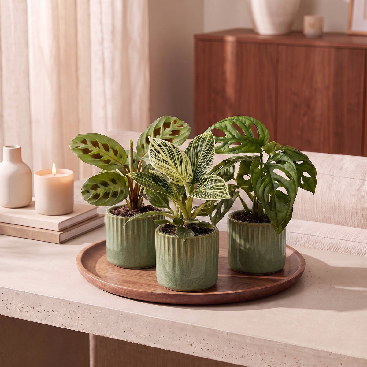 Baby Plants Surprise Box 3x - Verrassingsbox kleine planten - Diversen - Tropisch - incl. Linnea Olive - Ø6cm - ↕5-15cm