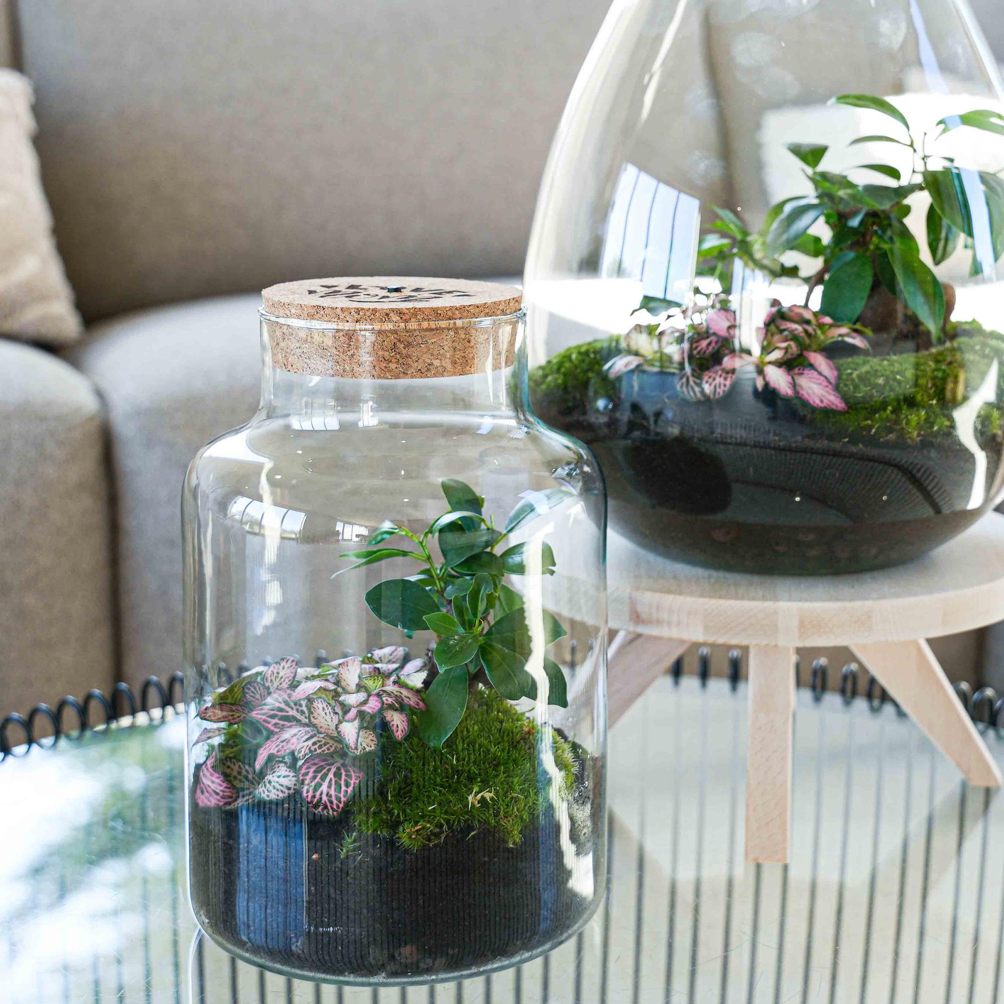 LOVE MOM' terrarium Little Milky + gegraveerde kurk met licht - Fles terrarium DIY kit - Ø 17 cm ↑ 25 cm - Moederdag