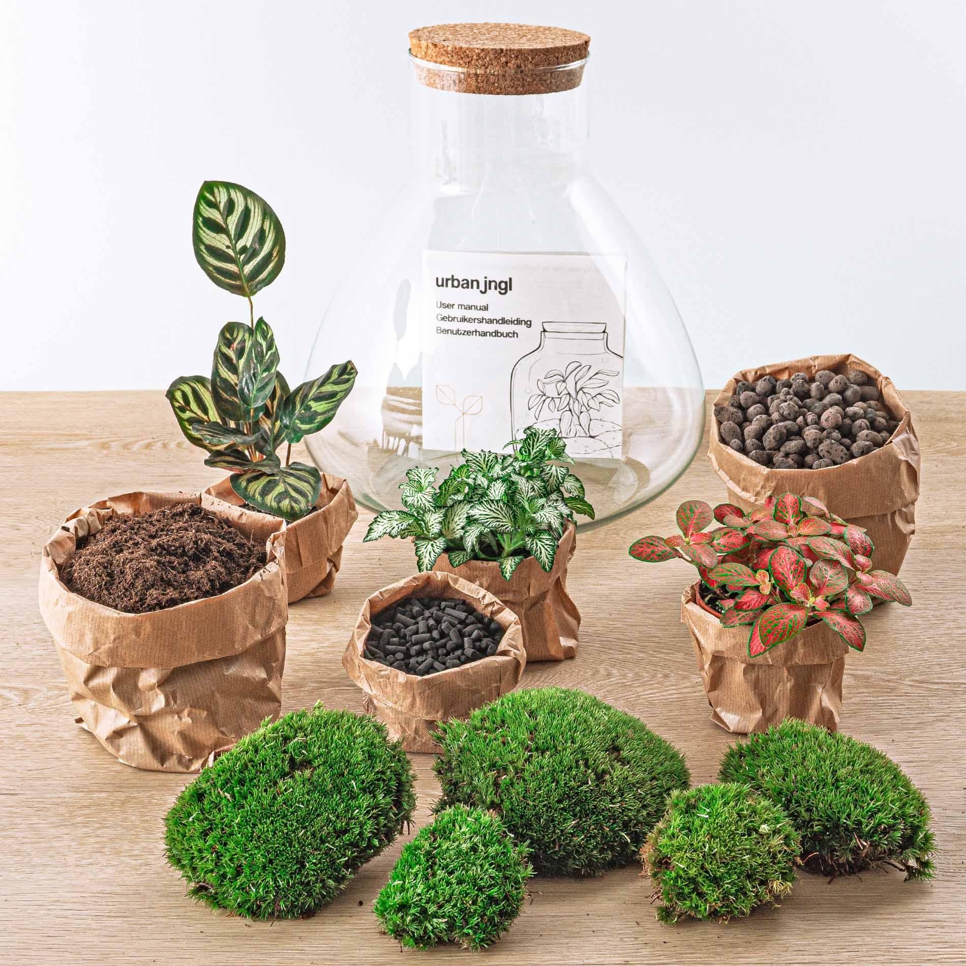 DIY-Terrarium – Sam XL Rot – ↕ 35 cm – Rechen + Schaufel + Pinzette