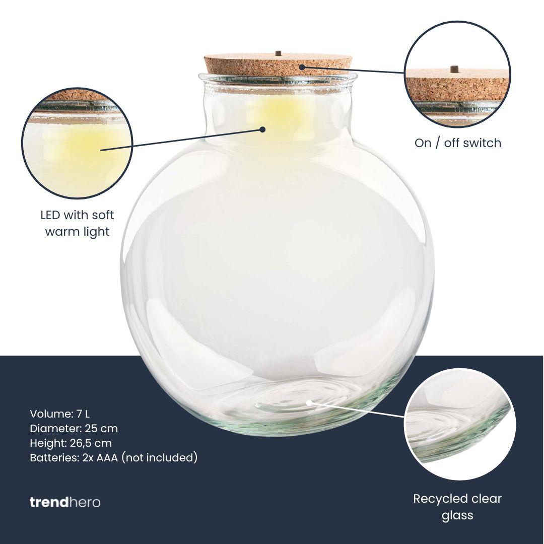 Terrarium bottle (with) lighting - Teddy - Ø 25 cm ↑ 26.5 cm - Without LED cork