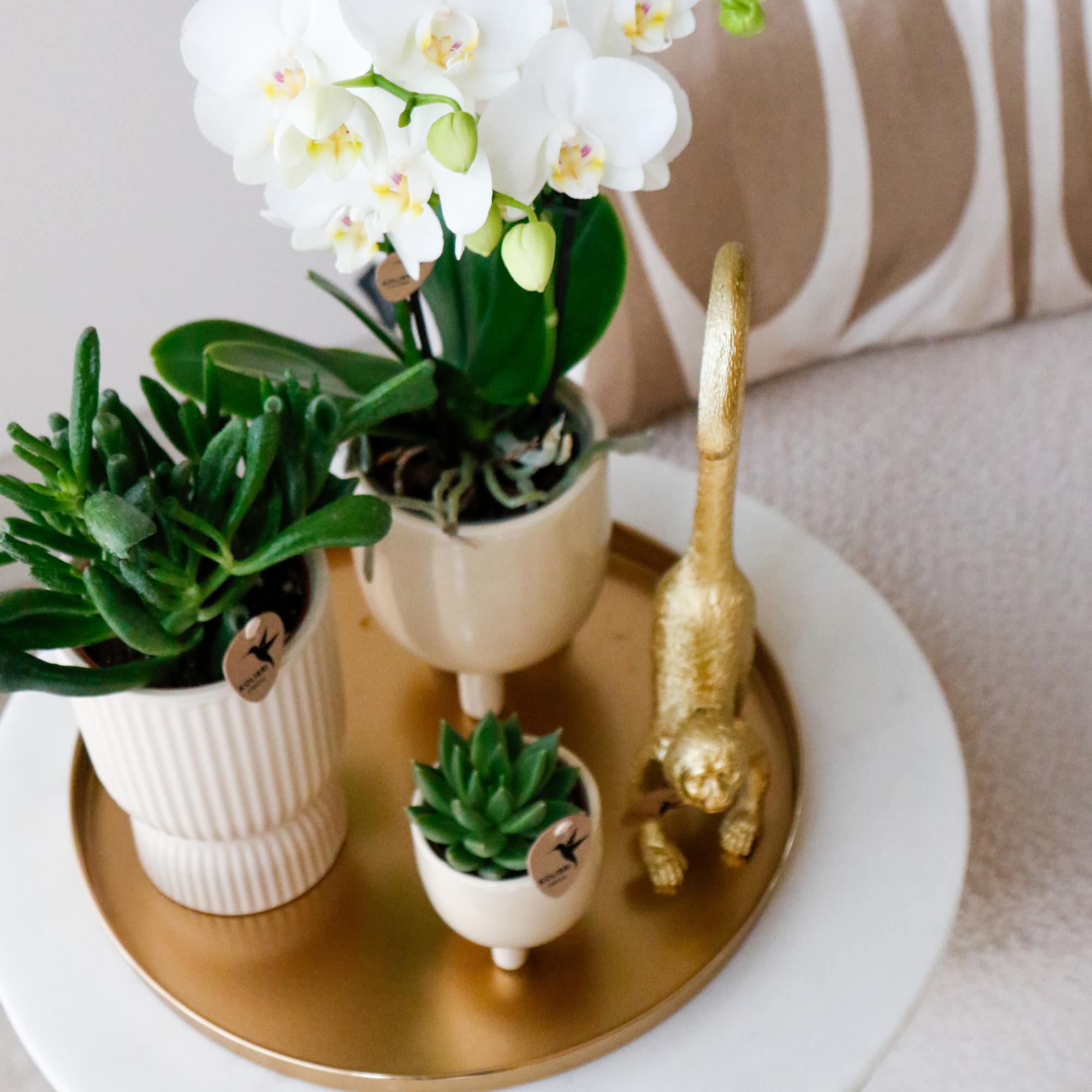 Kolibri Home | Plateau décoratif - Plateau rond doré Ø30cm