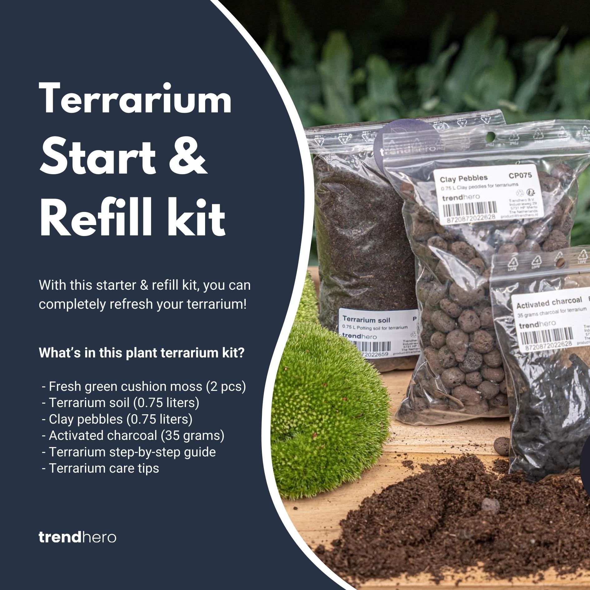 Plant terrarium - Refill & starter pack - Size S/M - DIY