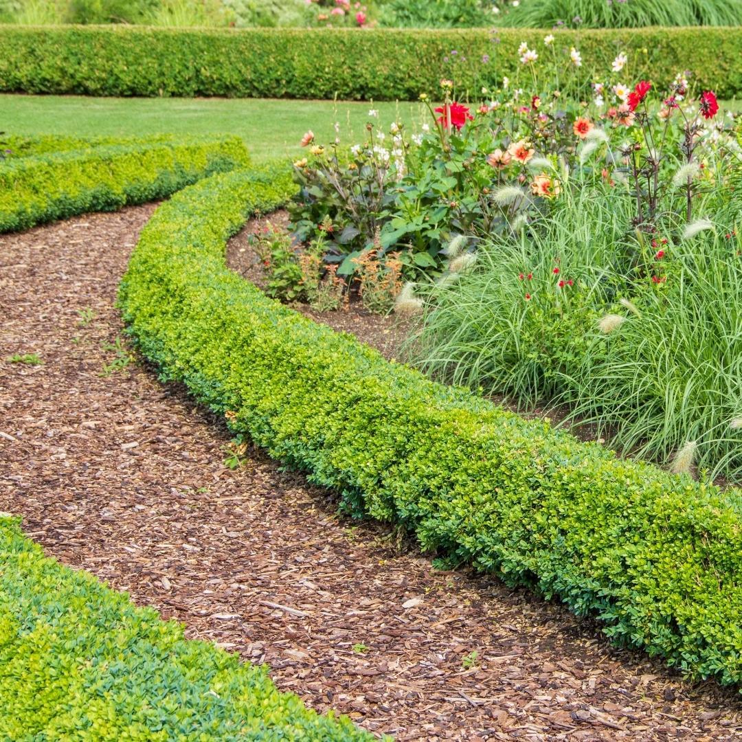 Culvita - Cobertura vegetal de corteza de árbol francesa de primera calidad - Corteza decorativa de 30-40 mm - Corteza apta para crear senderos - 40 litros