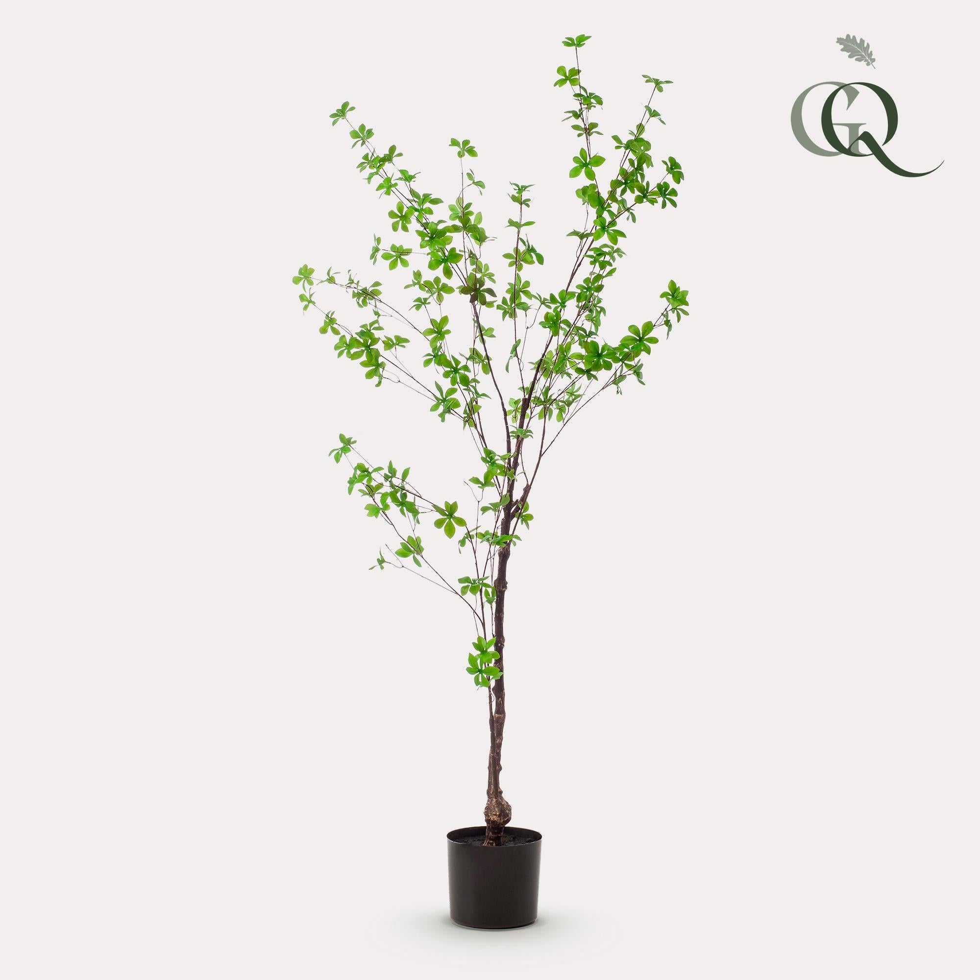 Artificial plant - Tropaeolum Speciosum - Nasturtium - 150 cm