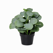 Kunstplant Eucalyptus - 21cm