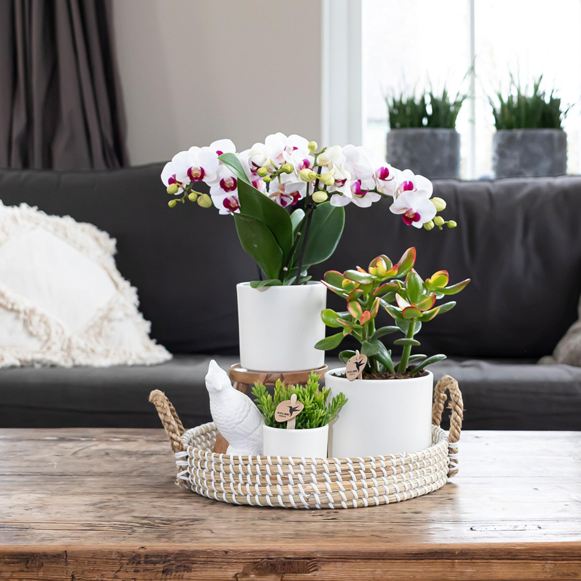 Kolibri Home | Decorative bowl - White woven tray Ø30cm