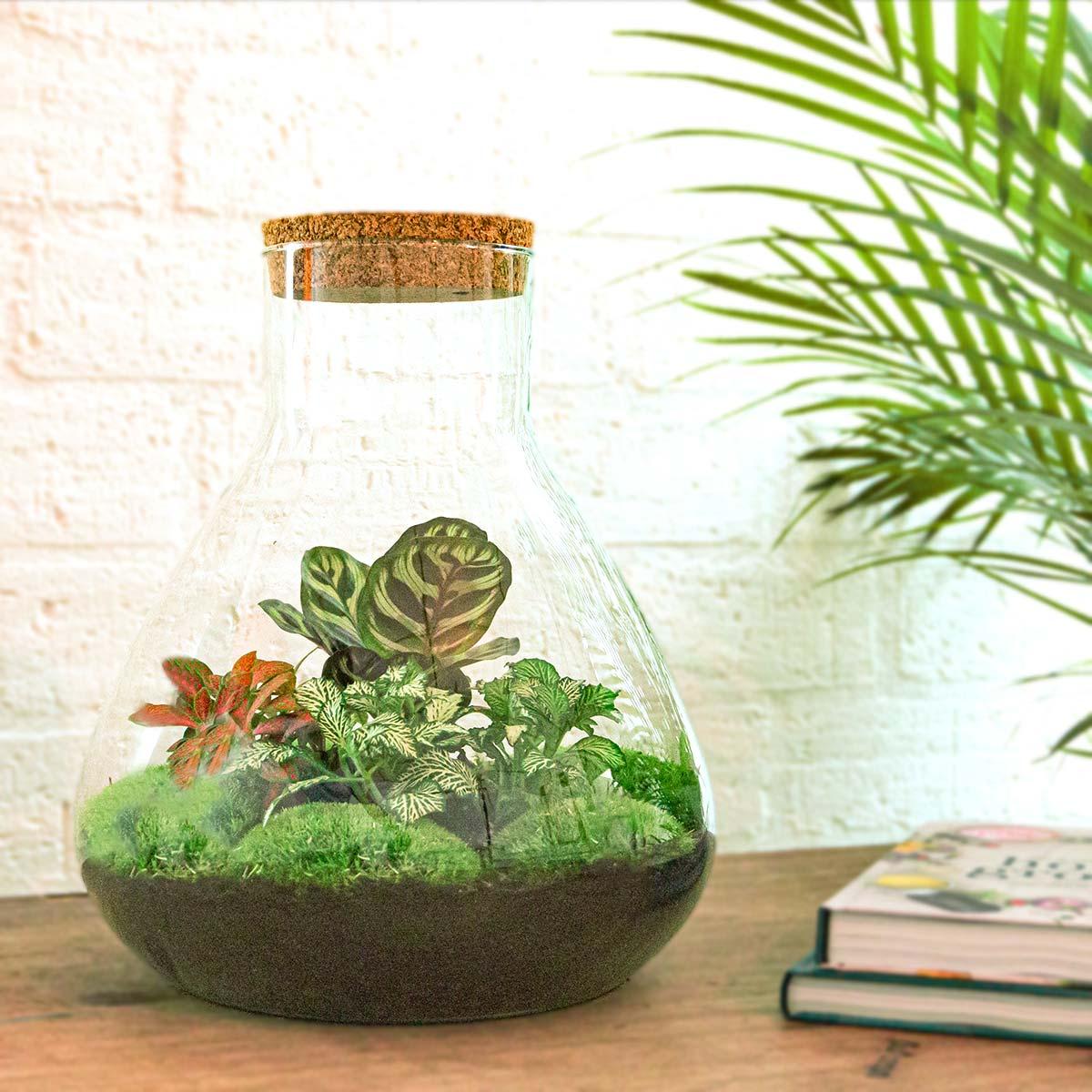 DIY-Terrarium – Sam XL Rot – ↕ 35 cm – Rechen + Schaufel + Pinzette