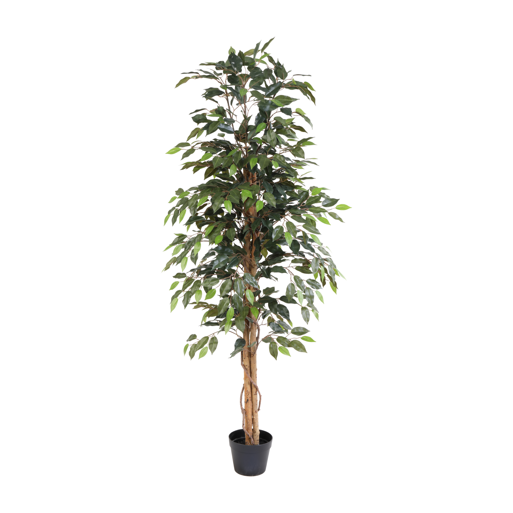 Kunstplant Ficus Benjamina - 160cm