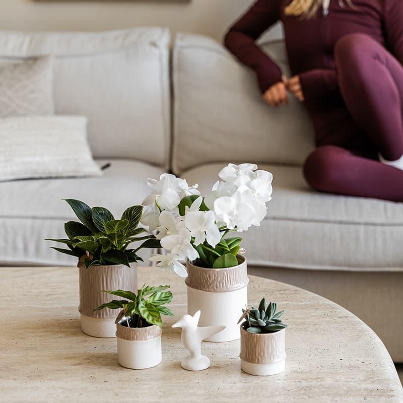 Kolibri Home | Bamboo sierpot - Sand - Ø6cm