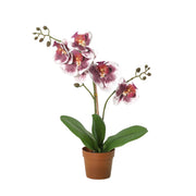 Kunstplant Phalaenopsis orchid violet white - 41cm