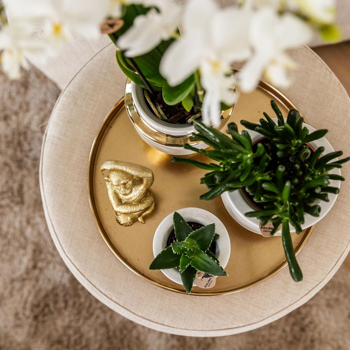 Kolibri Home | Le Chic flowerpot - White ceramic decorative pot with gold details - Ø9cm