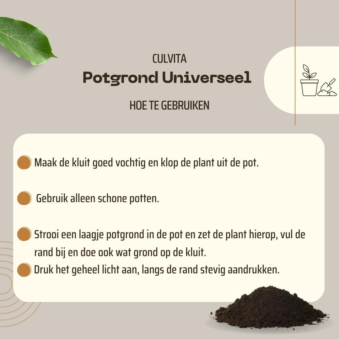 Terreau universel Culvita avec 2 mois d'engrais - Terreau universel pour plantes d'intérieur et d'extérieur - 40 litres