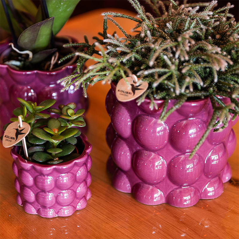 Kolibri Home | Cotton Shine sierpot - Purple - Ø9cm
