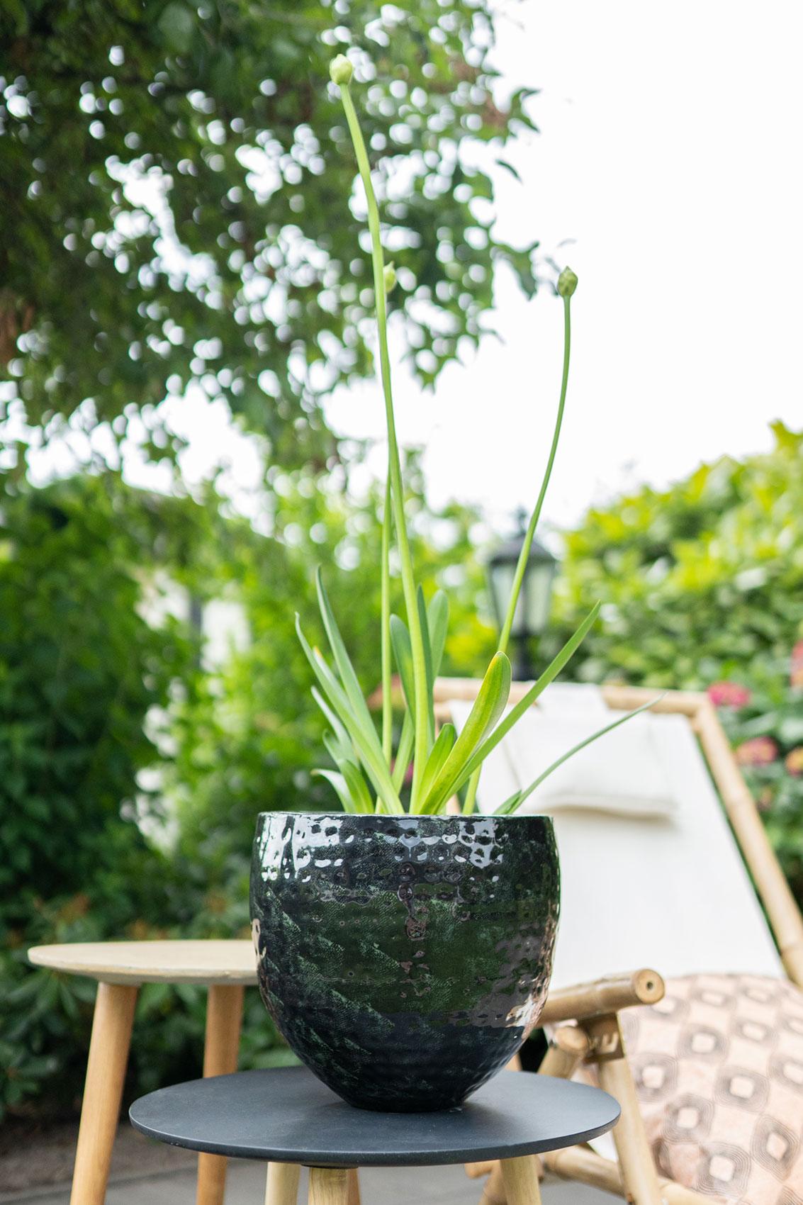 Ensemble de 3 pots - Thom en métal noir - Largeur