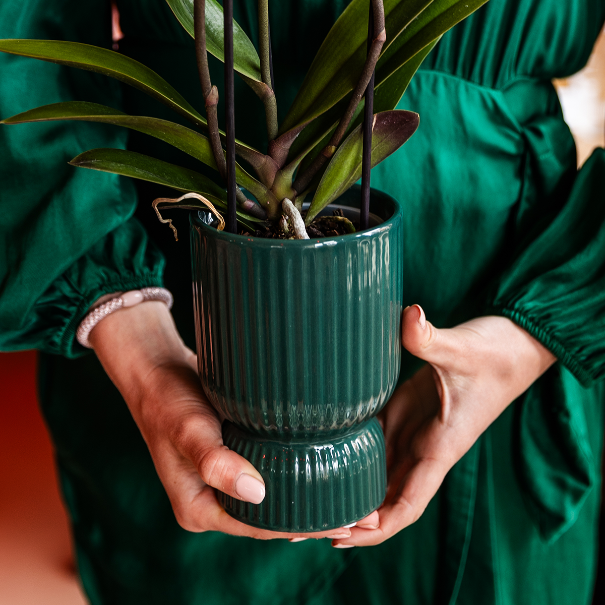 Kolibri Home | Diabolo-Übertopf | Ø 9 cm – Grün