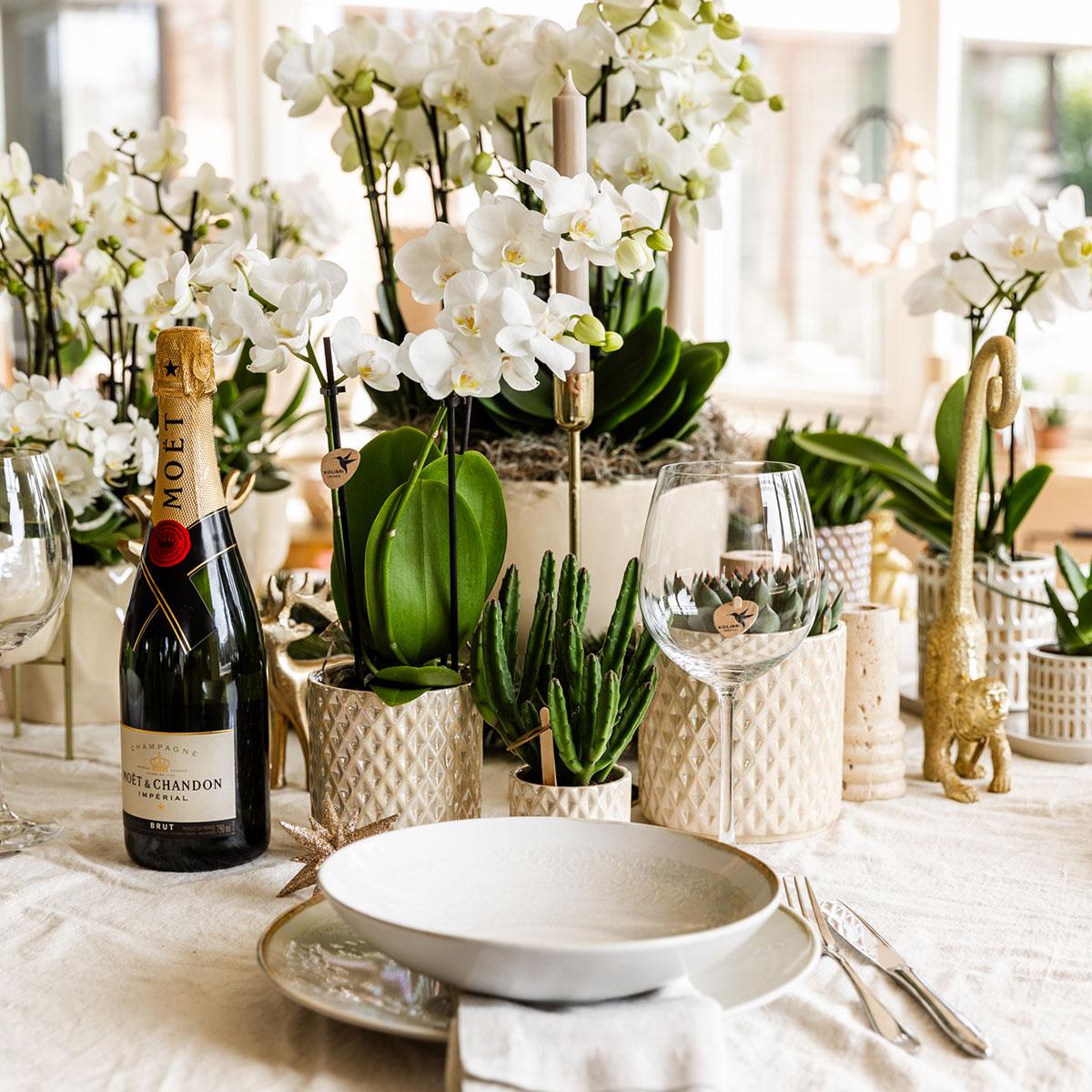 Kolibri Home | Dekorativer Blumentopf mit Diamantperle - Sand - Ø 9 cm