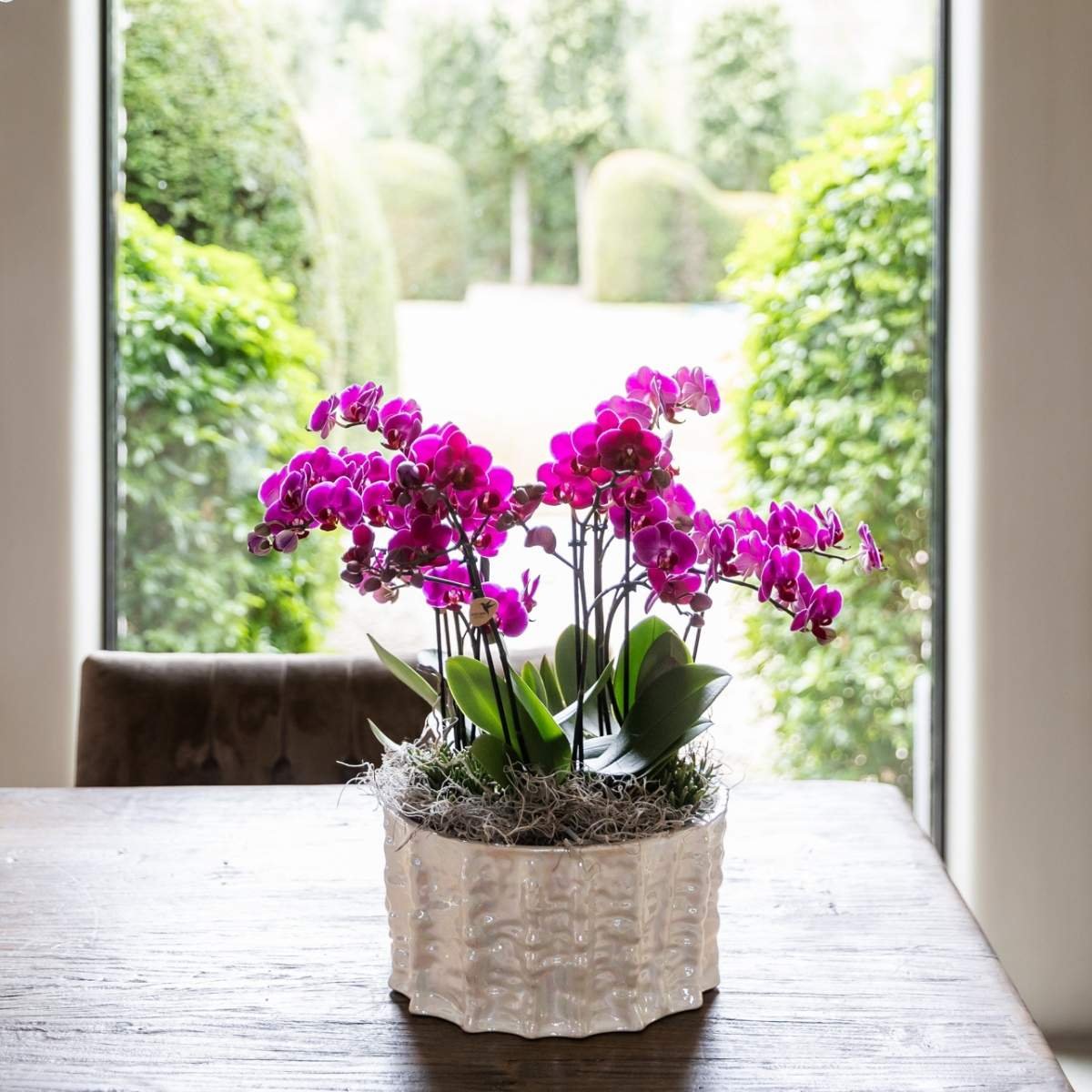 Kolibri Home | Oyster schaal - Ø30 cm